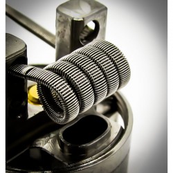 Fumytech FRAMED STAPLE FULL SS316 0.25Ω 2pcs