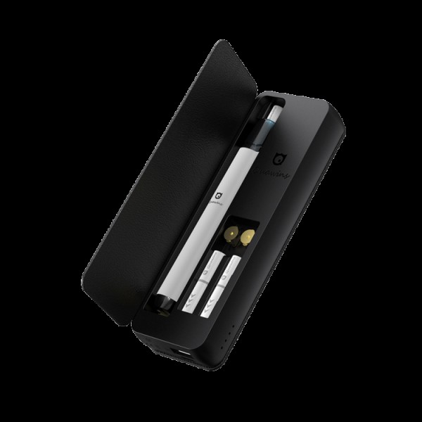 Quawins VStick Pro - Case di Ricarica