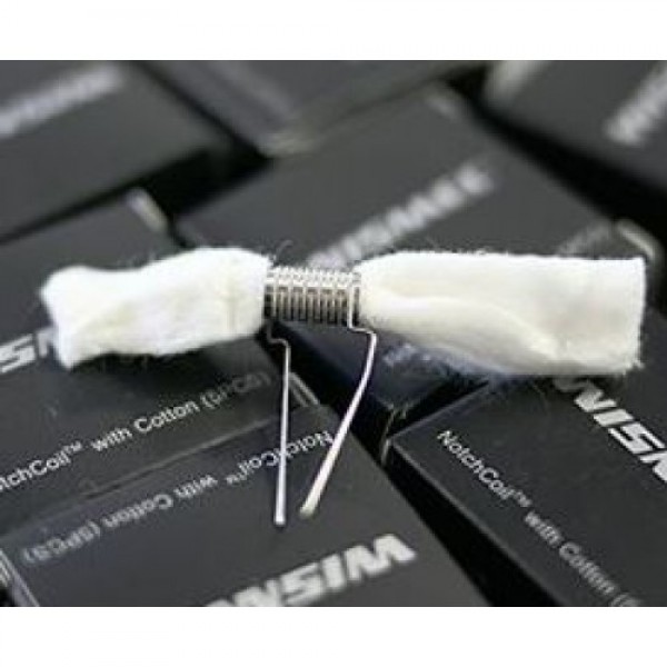 Ricambio WISMEC NOTCHCOIL PER THEOREM